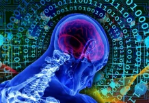 Investigadores trabajan en inteligencia artificial que funciona con célula humanas